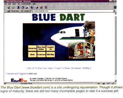 Blue Dart Website